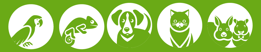 schmal-vogel-reptil-hund-Katze-Nager